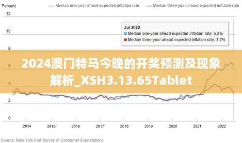 新澳2024年精准特马资料｜精选解释解析落实
